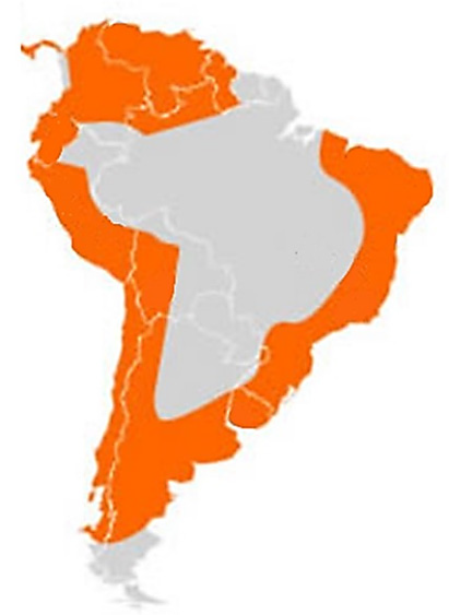 Earthen construction zones in Latin America.