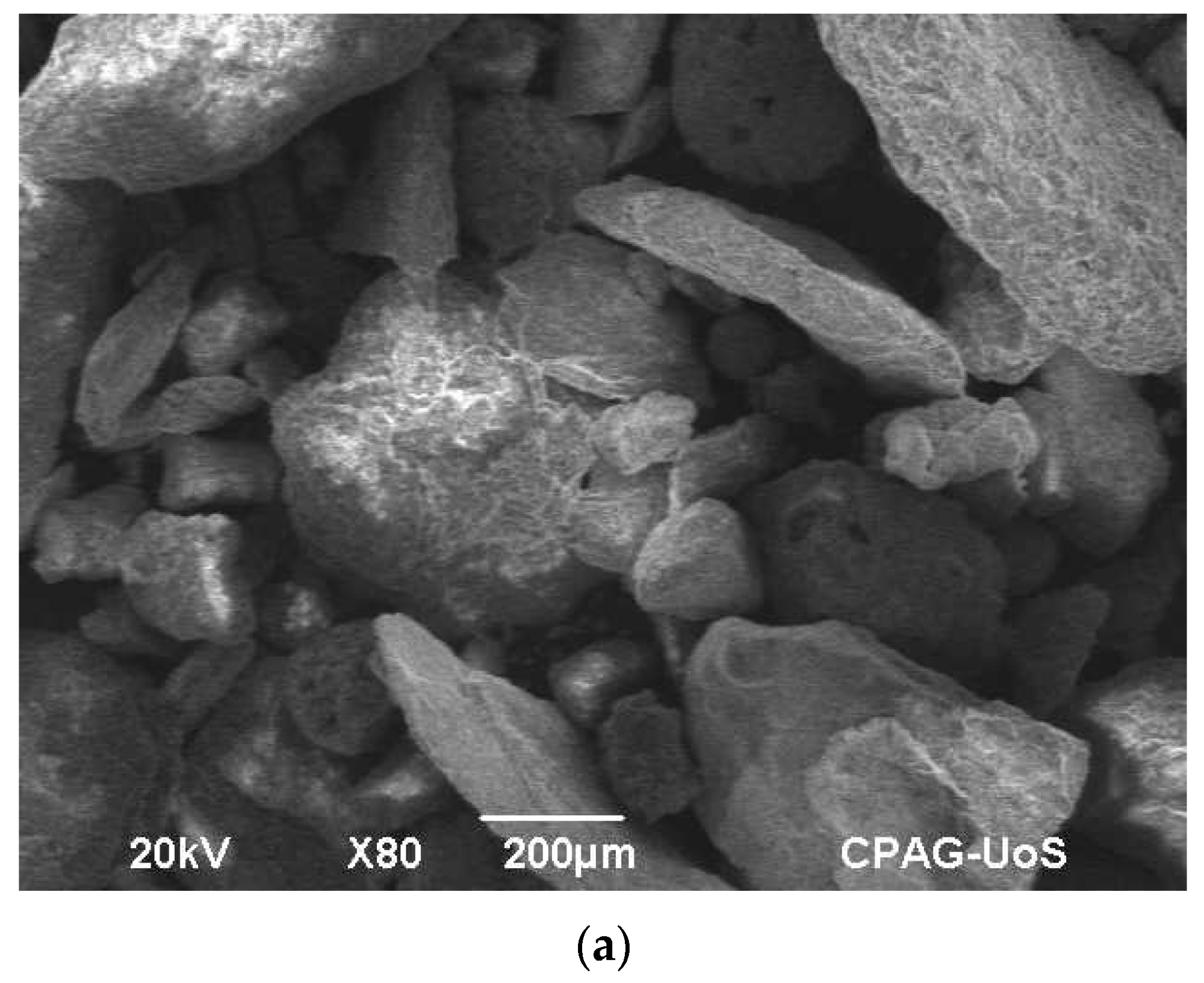 SEM images of (a) Coal Bottom Ash; (b) Silica Fume.