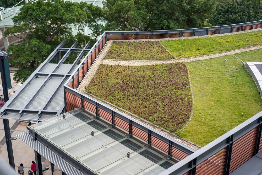green roofs, how to build a green roof, how to construct a green roof