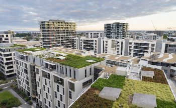 Environmentally Friendly Green Roofs and the Types of Green Roof