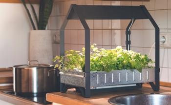 Hydroponics in the Home