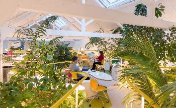 EU Mies Award Shortlist: selgascano’s Second Home Holland Park