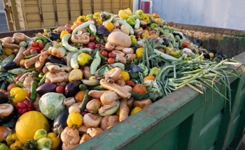 Building With Food Waste