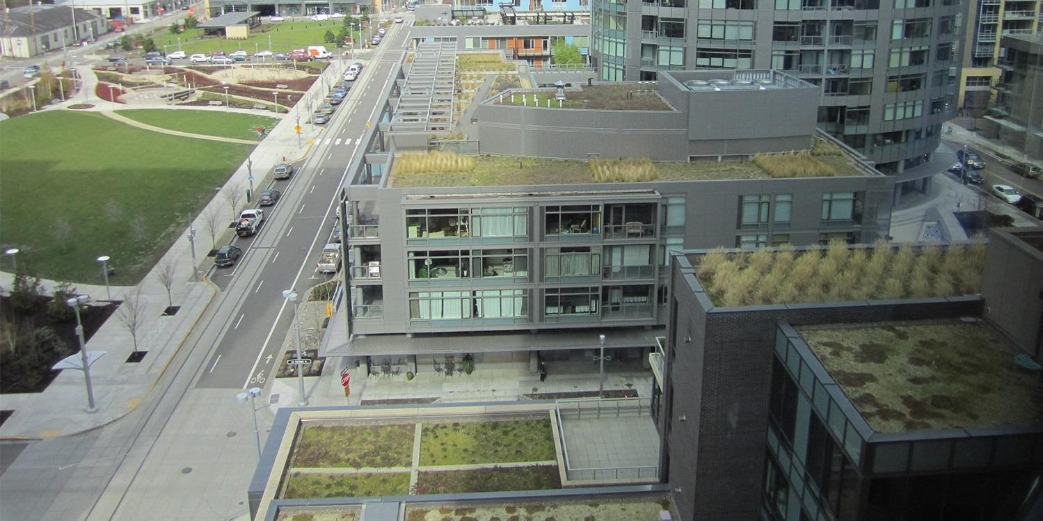 Study Explores the Benefits of Green Roofs.