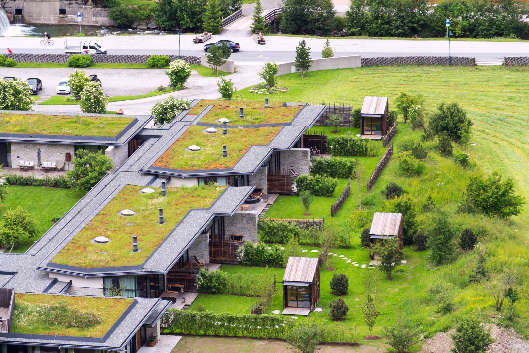 Cool vs. Green: Rooftop Solutions for Urban Energy Efficiency