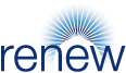 Renew Holdings